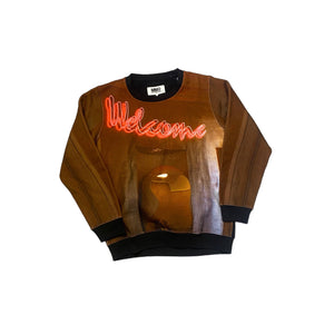 Descriptive image text