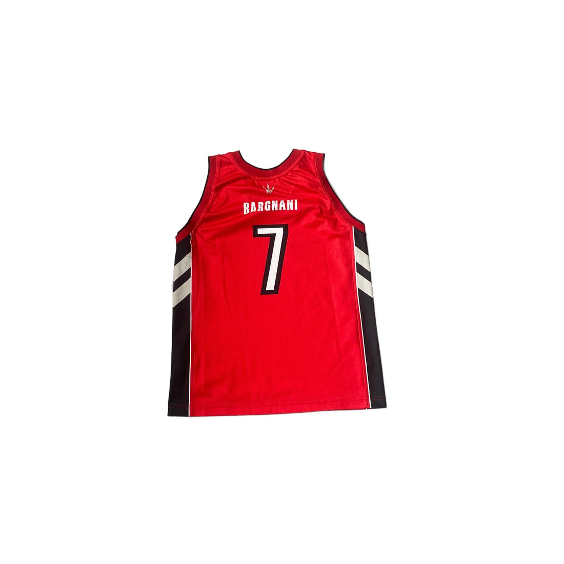 Toronto Raptors NBA Basketball Jersey - S