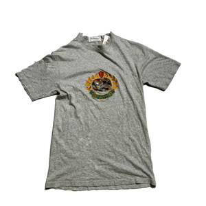 Descriptive image text