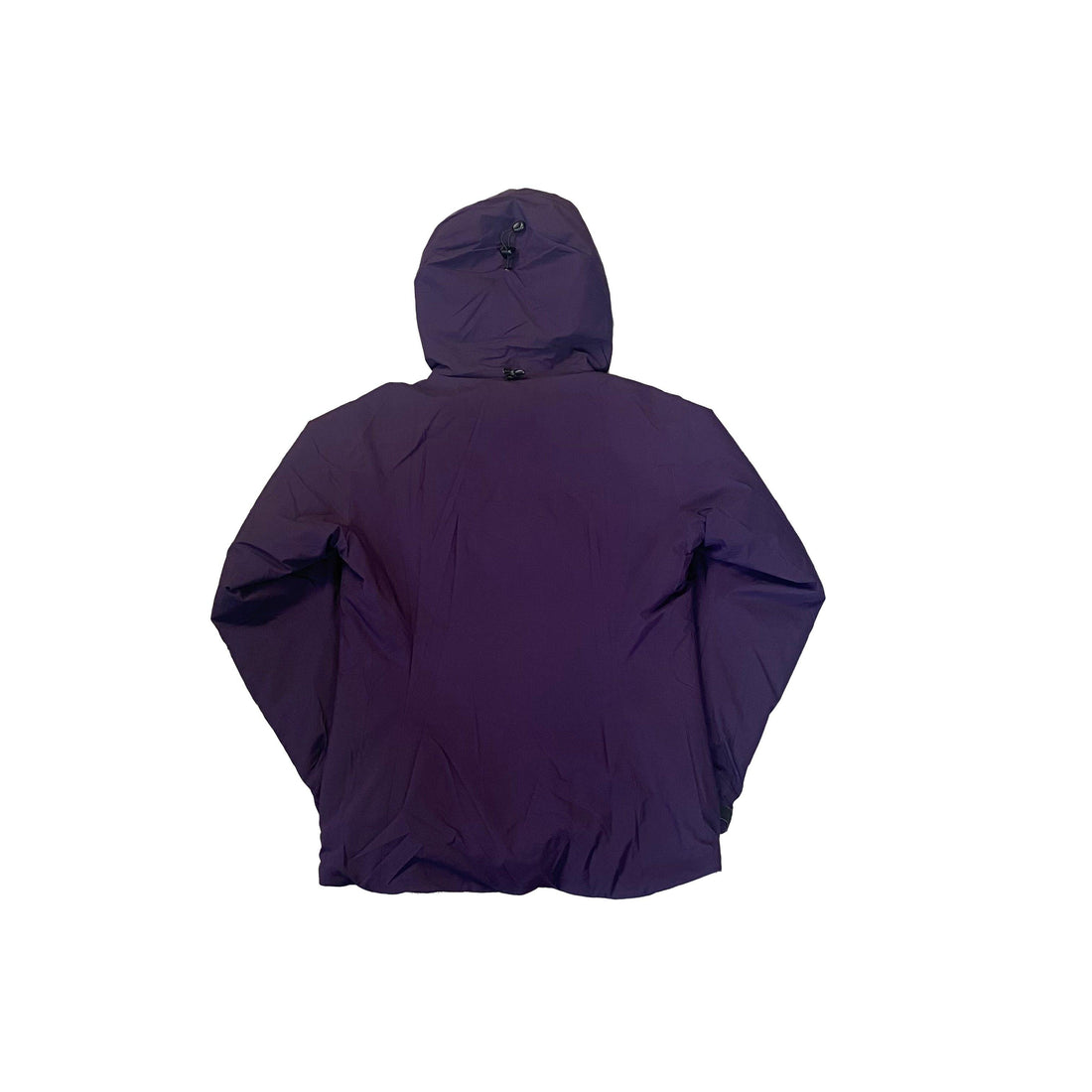 Purple Arc’Teryx Coat - S
