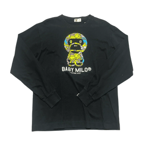 Descriptive image text