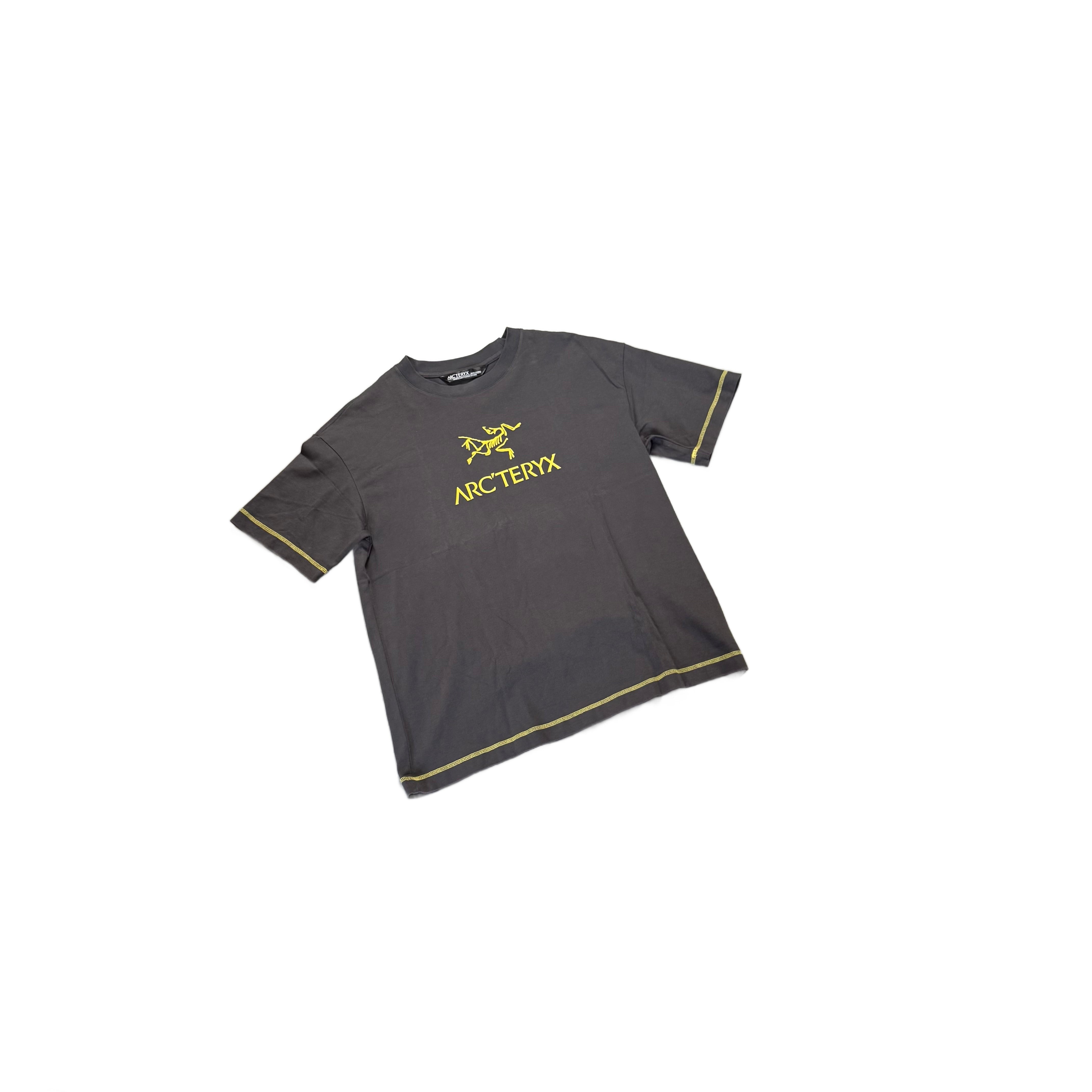 Grey Arc'Teryx Tee - M