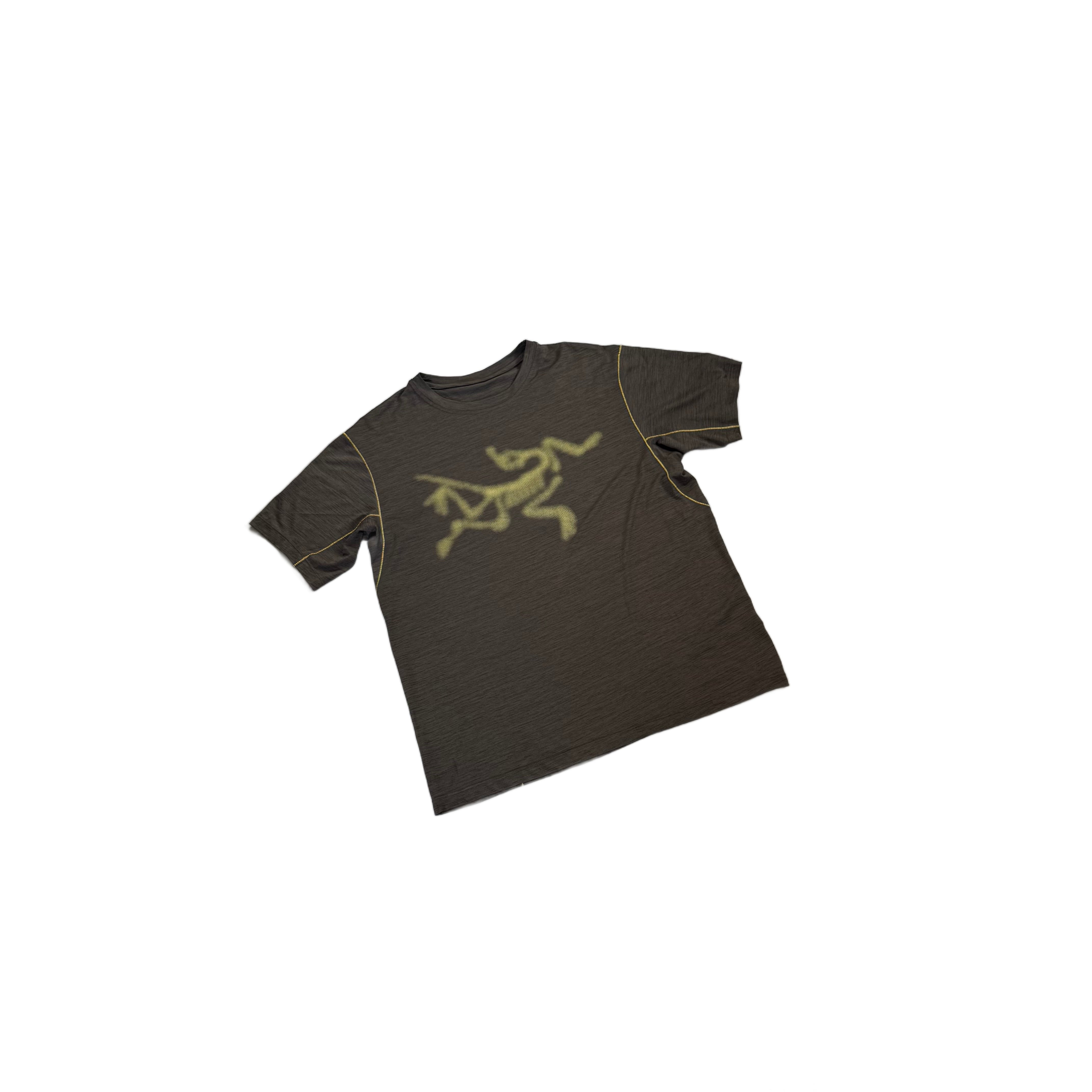 Grey Arc'Teryx Tee - M