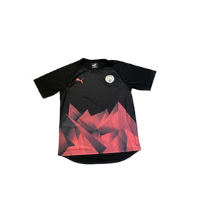 Descriptive image text