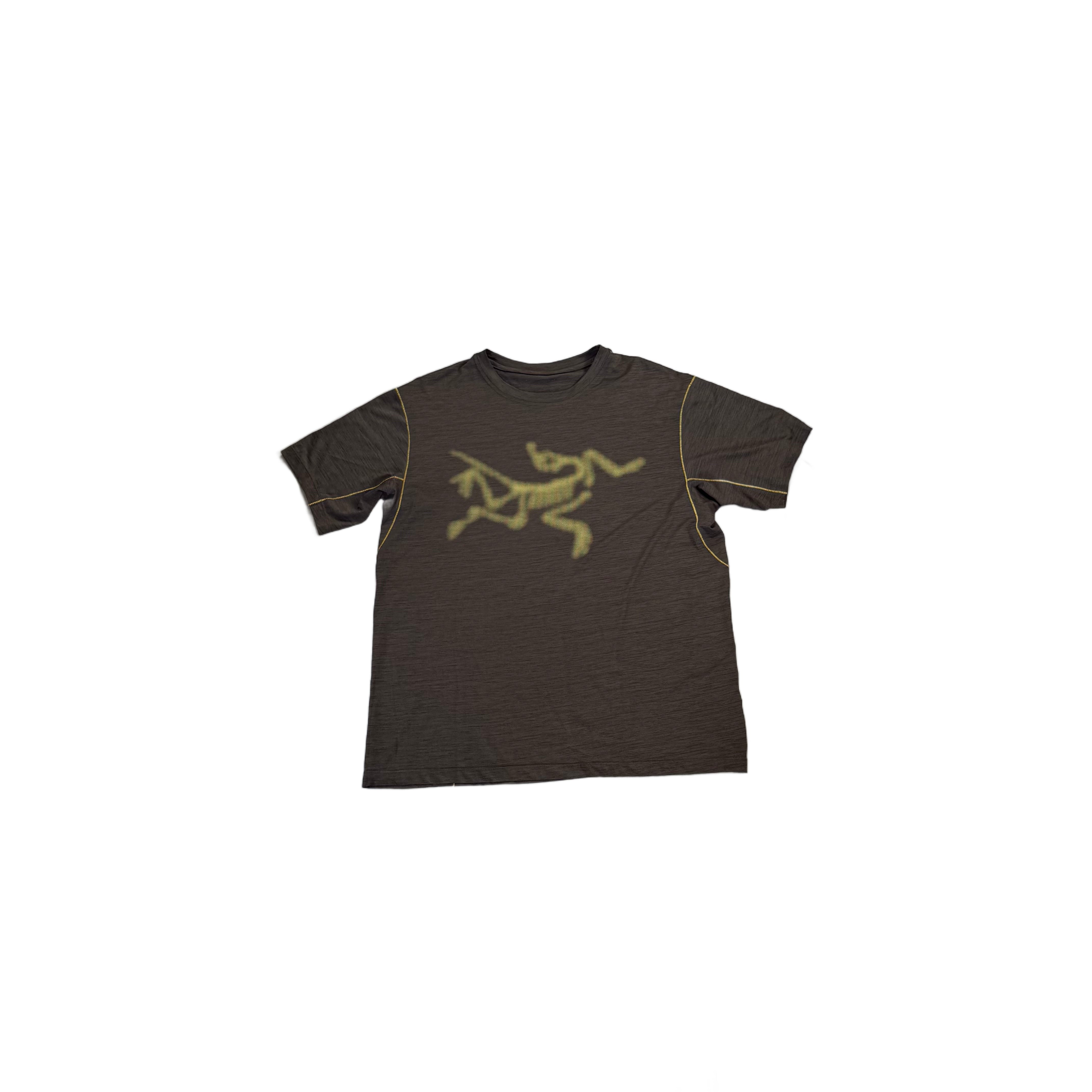 Grey Arc'Teryx Tee - M