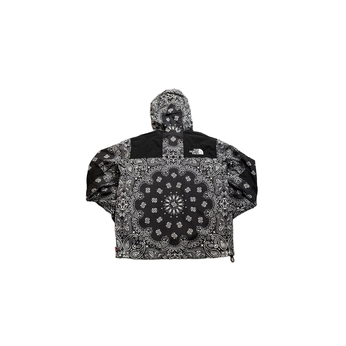 BNWT Supreme x The North Face FW14 Paisley Jacket - L