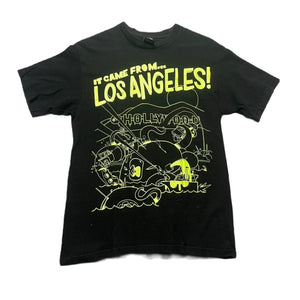 Descriptive image text