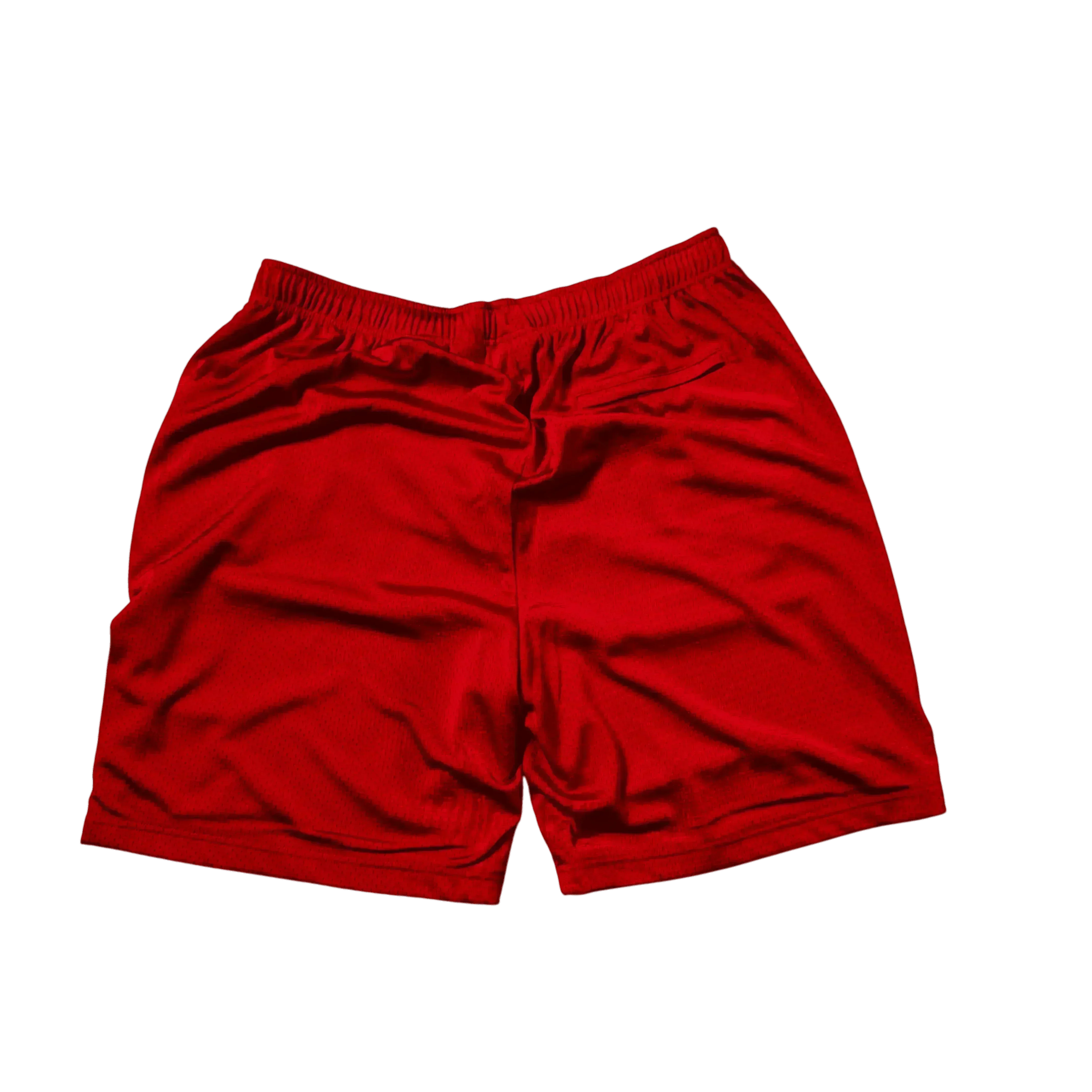 Brand New Supreme x Champion Shorts - L