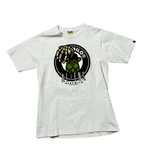 Descriptive image text