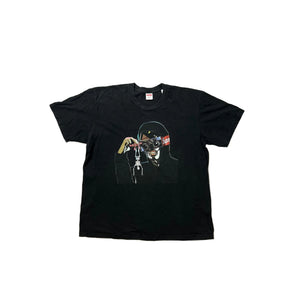 Descriptive image text