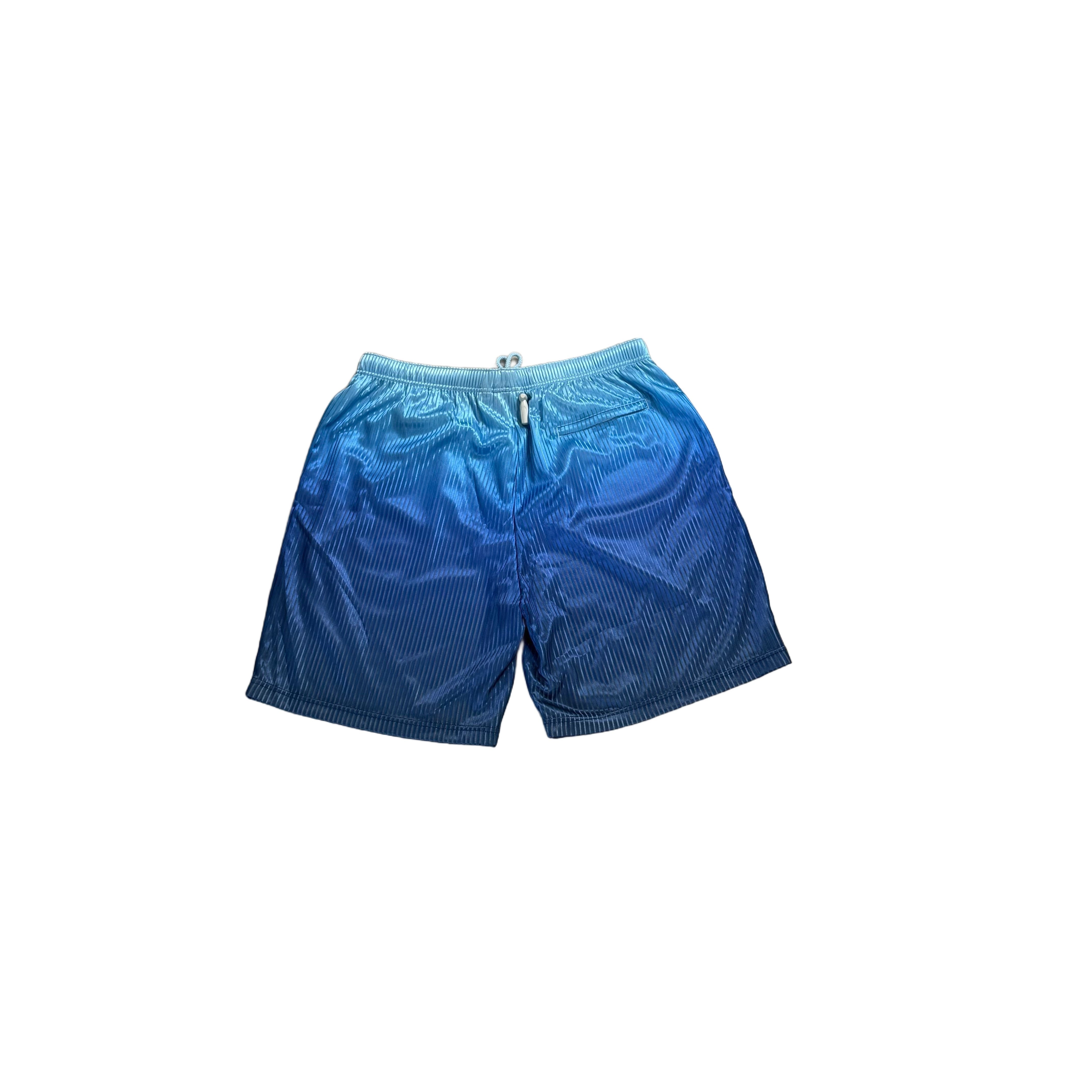 BNWT Blue Supreme Shorts - L