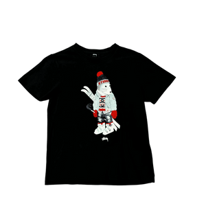 Descriptive image text