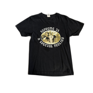 Descriptive image text