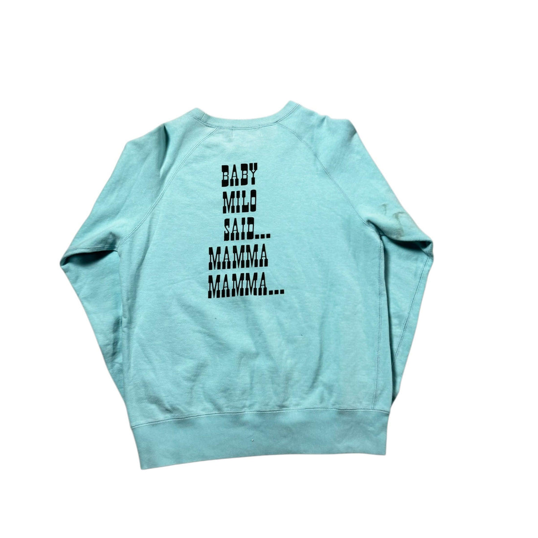 Baby Blue A Bathing Ape (BAPE) Sweatshirt - M