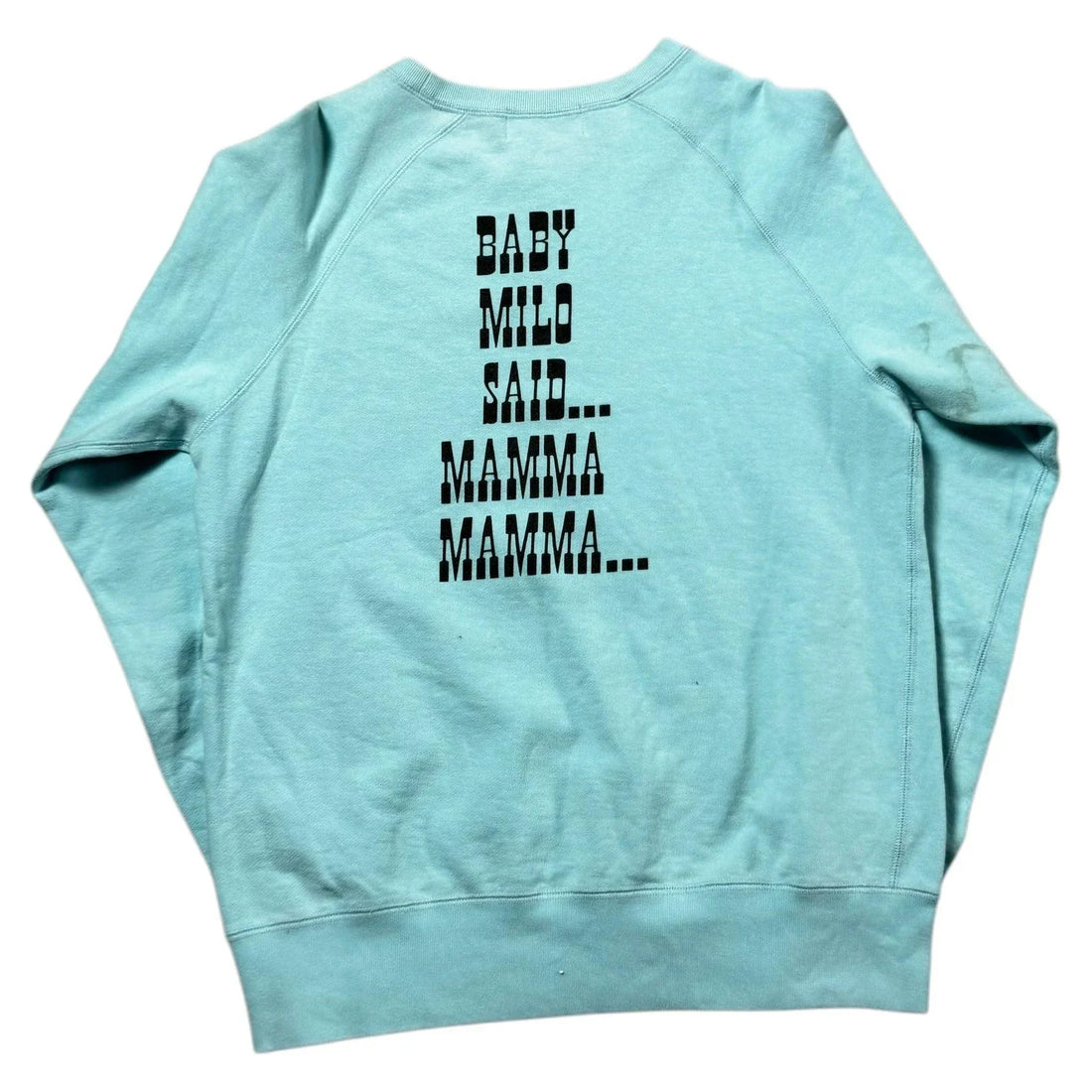 Baby Blue A Bathing Ape (BAPE) Sweatshirt - M | The Streetwear Studio