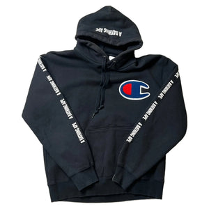 Descriptive image text