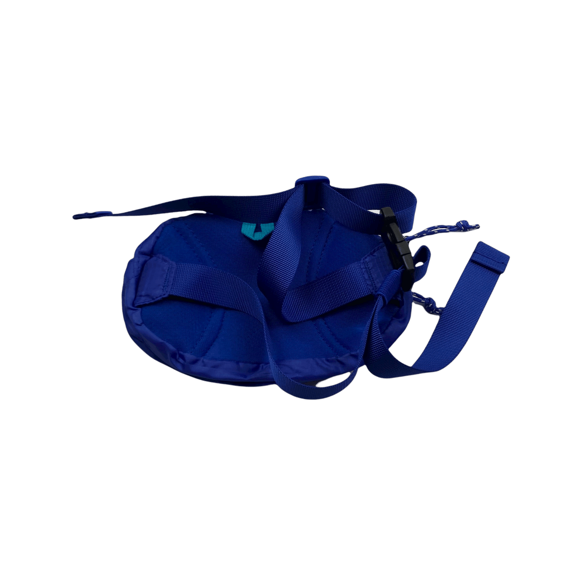 Blue + Green Patagonia Bum/ Waist Bag - The Streetwear Studio