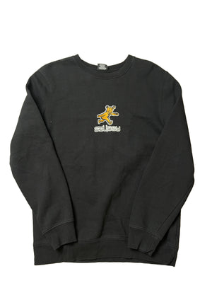 Descriptive image text