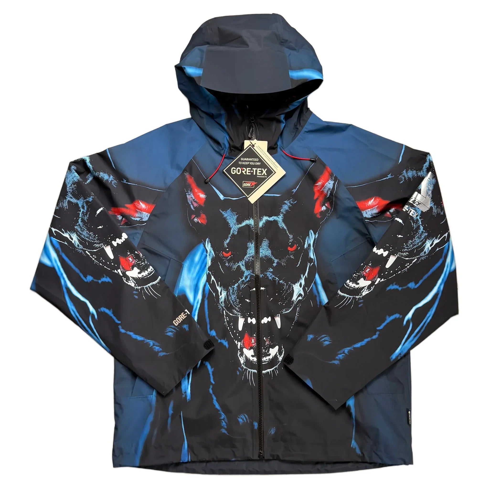 Palace Gore-Tex Jacket - L
