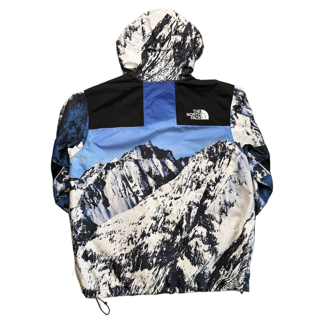 Supreme x The North Face Jacket - XL